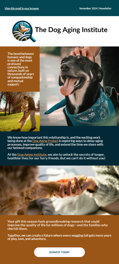 November 2024 Newsletter