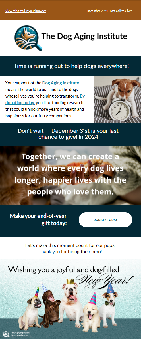 December 2024 | Last Call to Give!