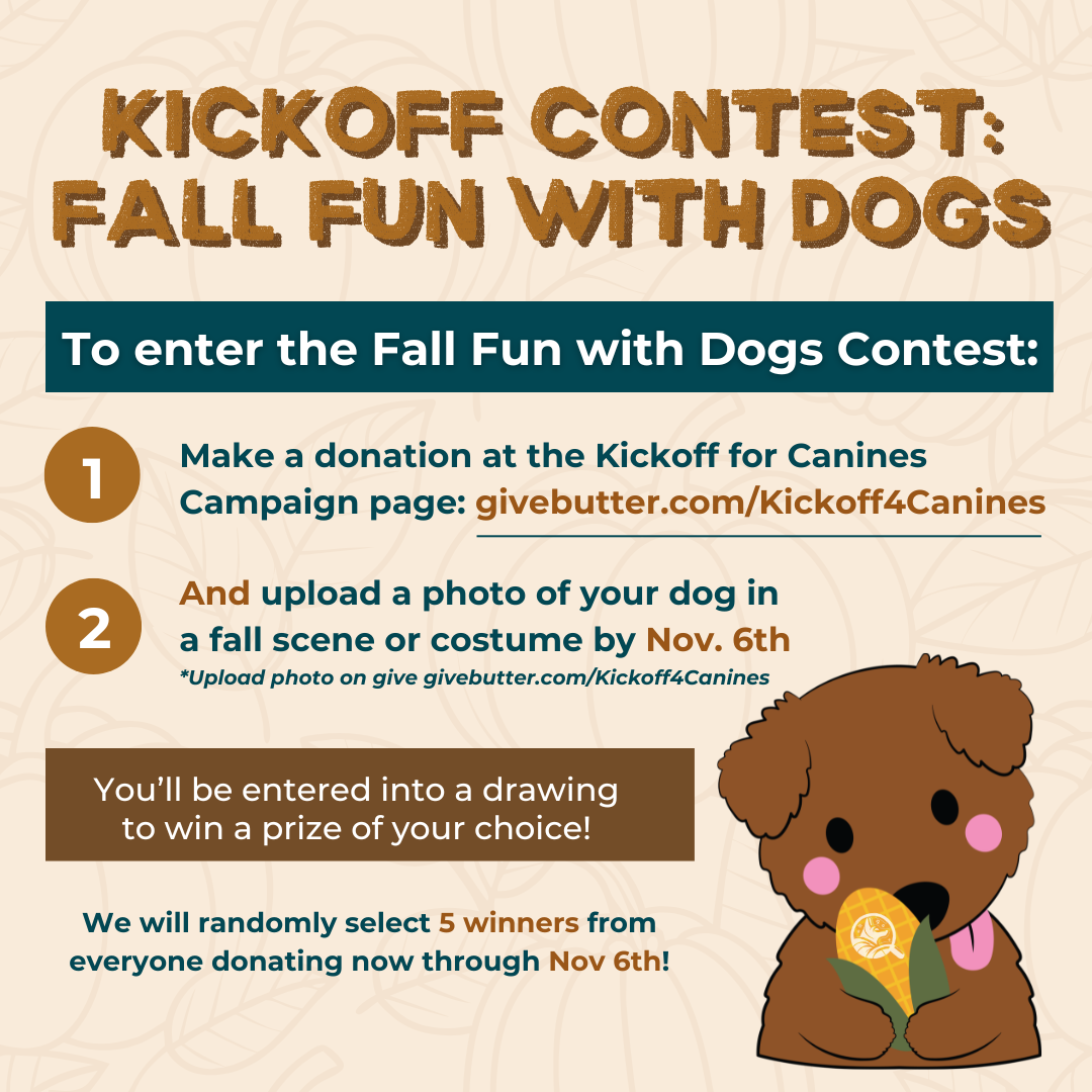 Kickoff Contest Fall Fun with Dogs