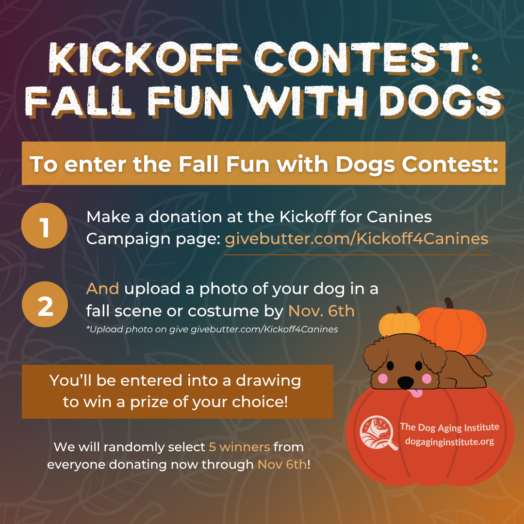 Kickoff Contest Fall Fun with Dogs