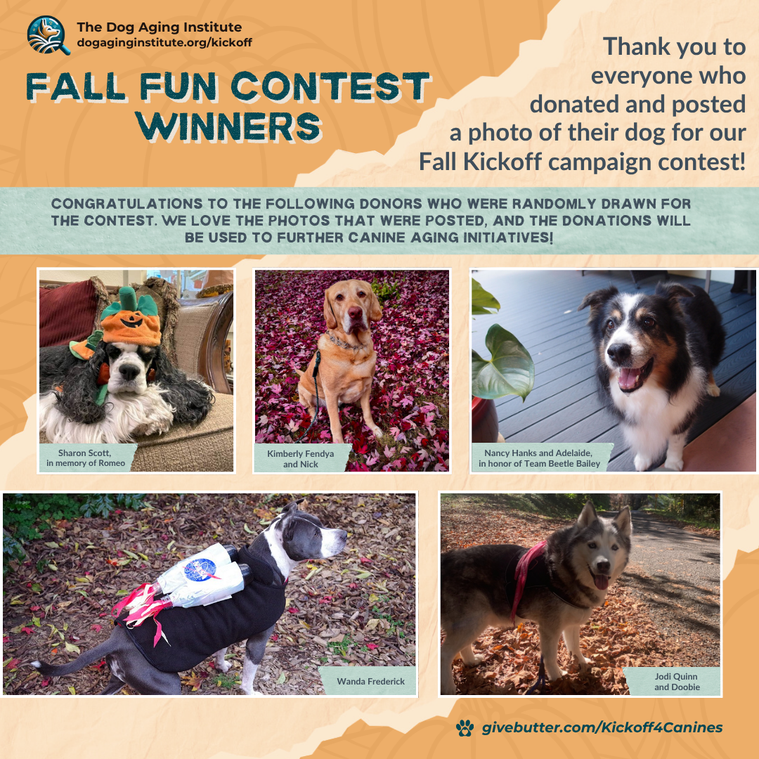 Fall Fun Contest Winners