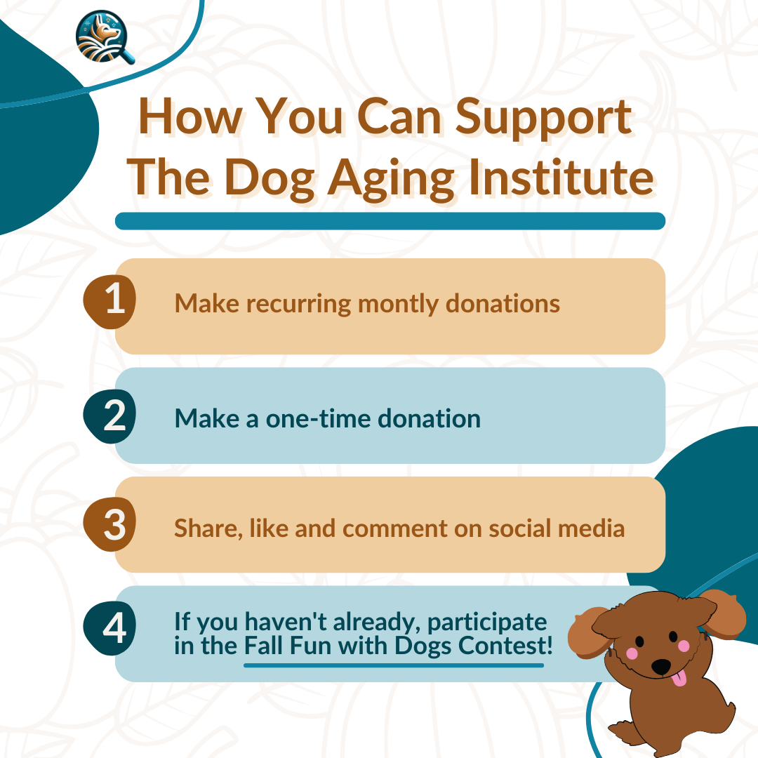 How You Can Support the DAI