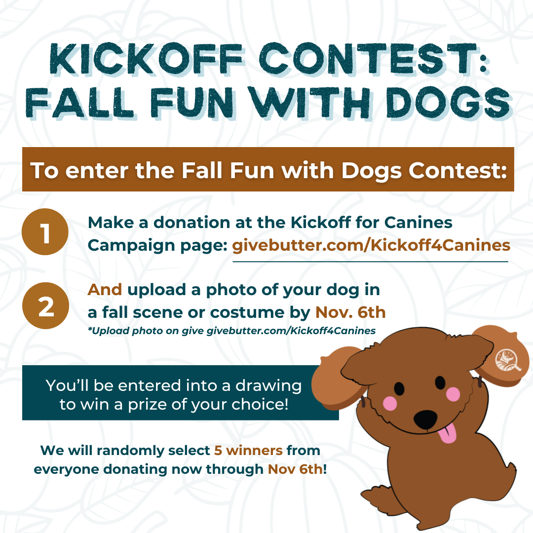 Kickoff Contest Fall Fun with Dogs