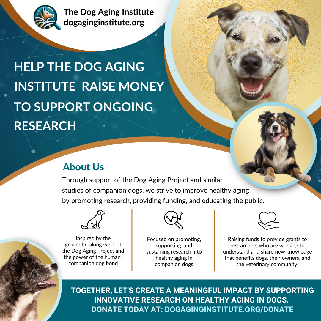 Help Support the DAI