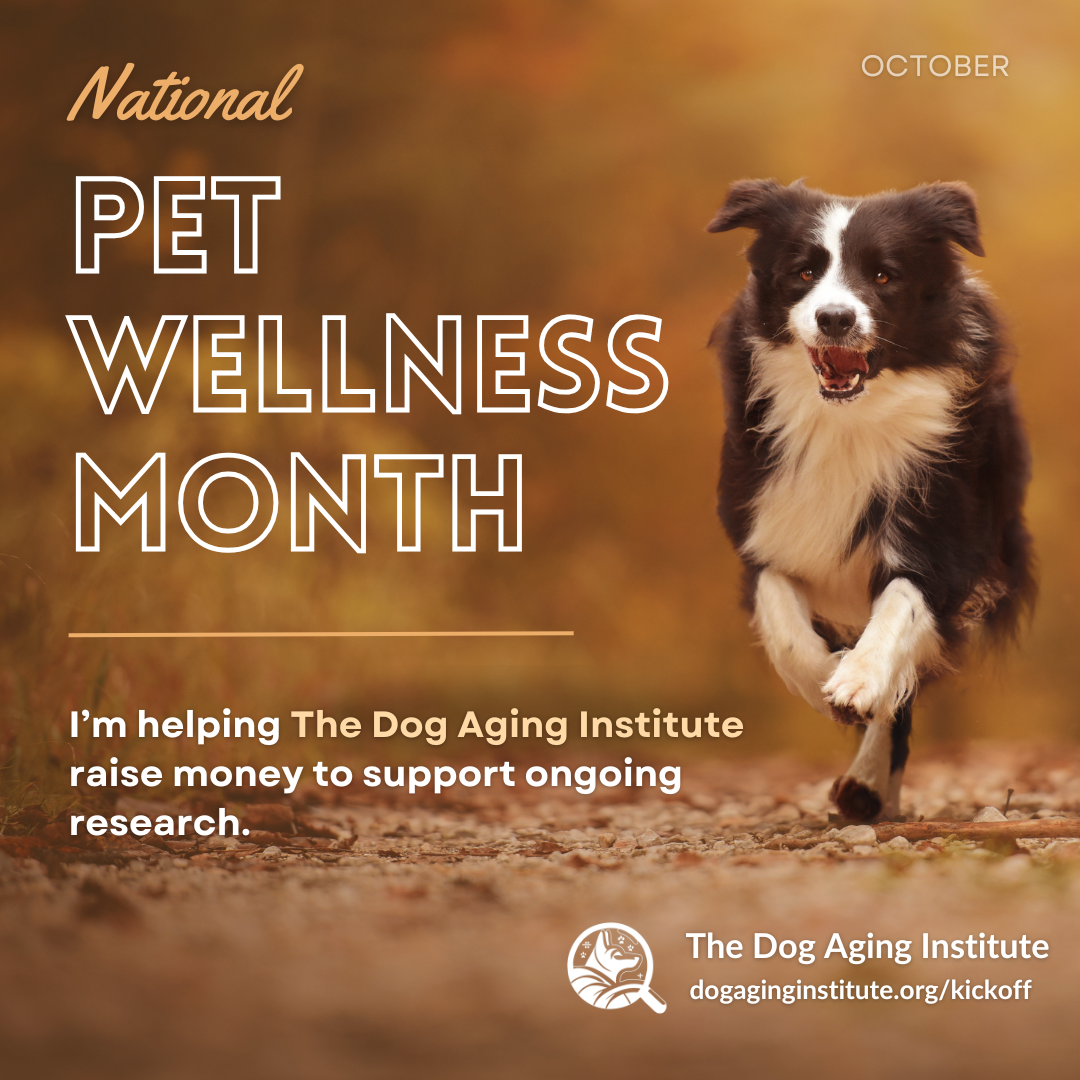 Kickoff - Pet Wellness Month