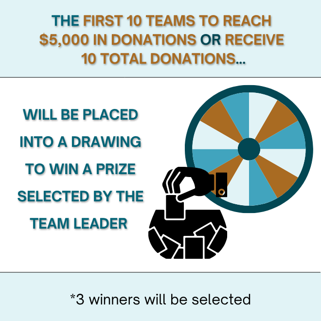 DAI Prizes 2