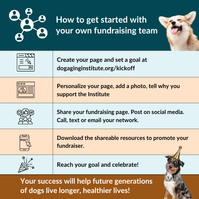 How to get started with your fundraising team