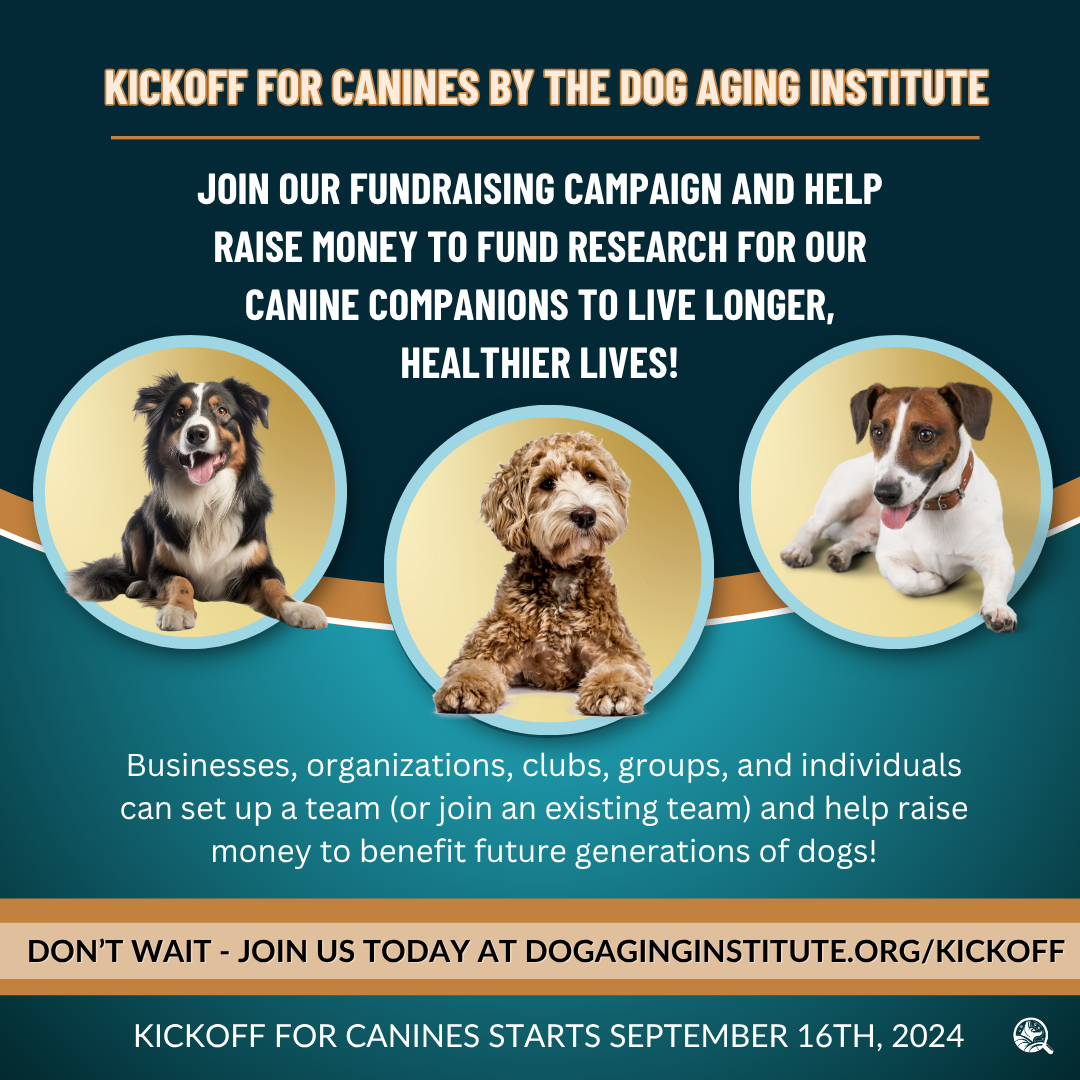 Kickoff for Canines by DAI