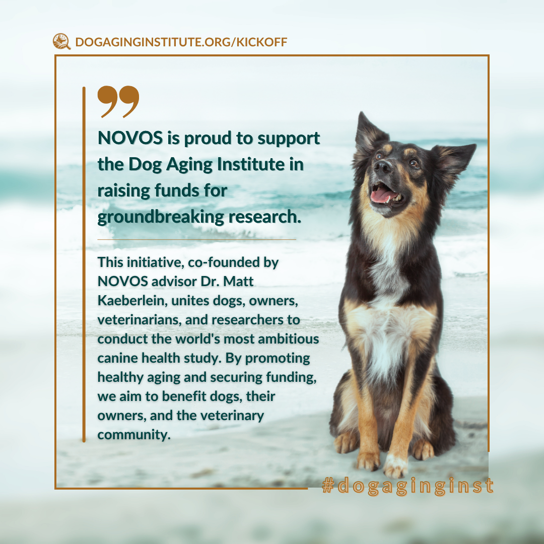 Novos is a proud supporter