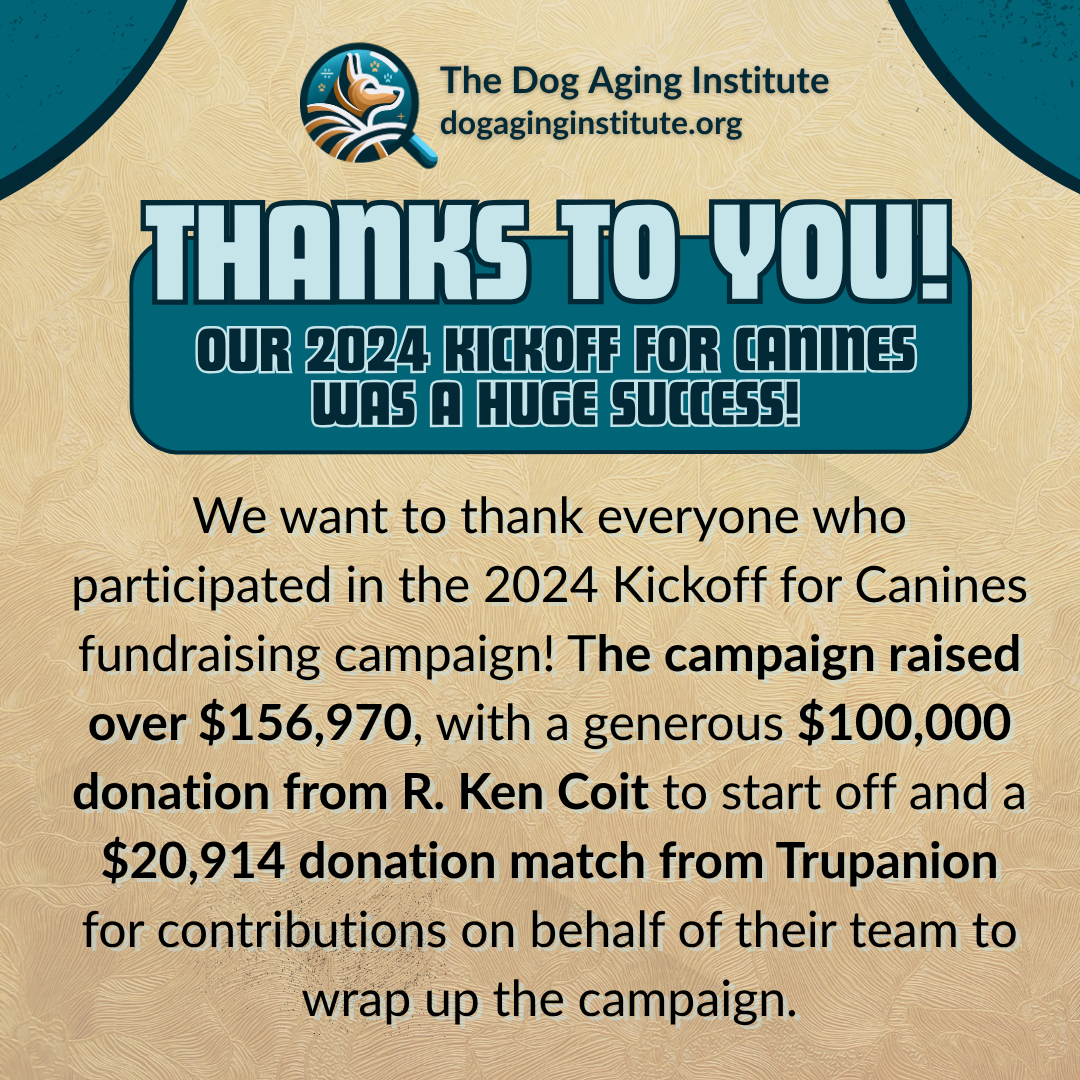Thank You - Kickoff 1