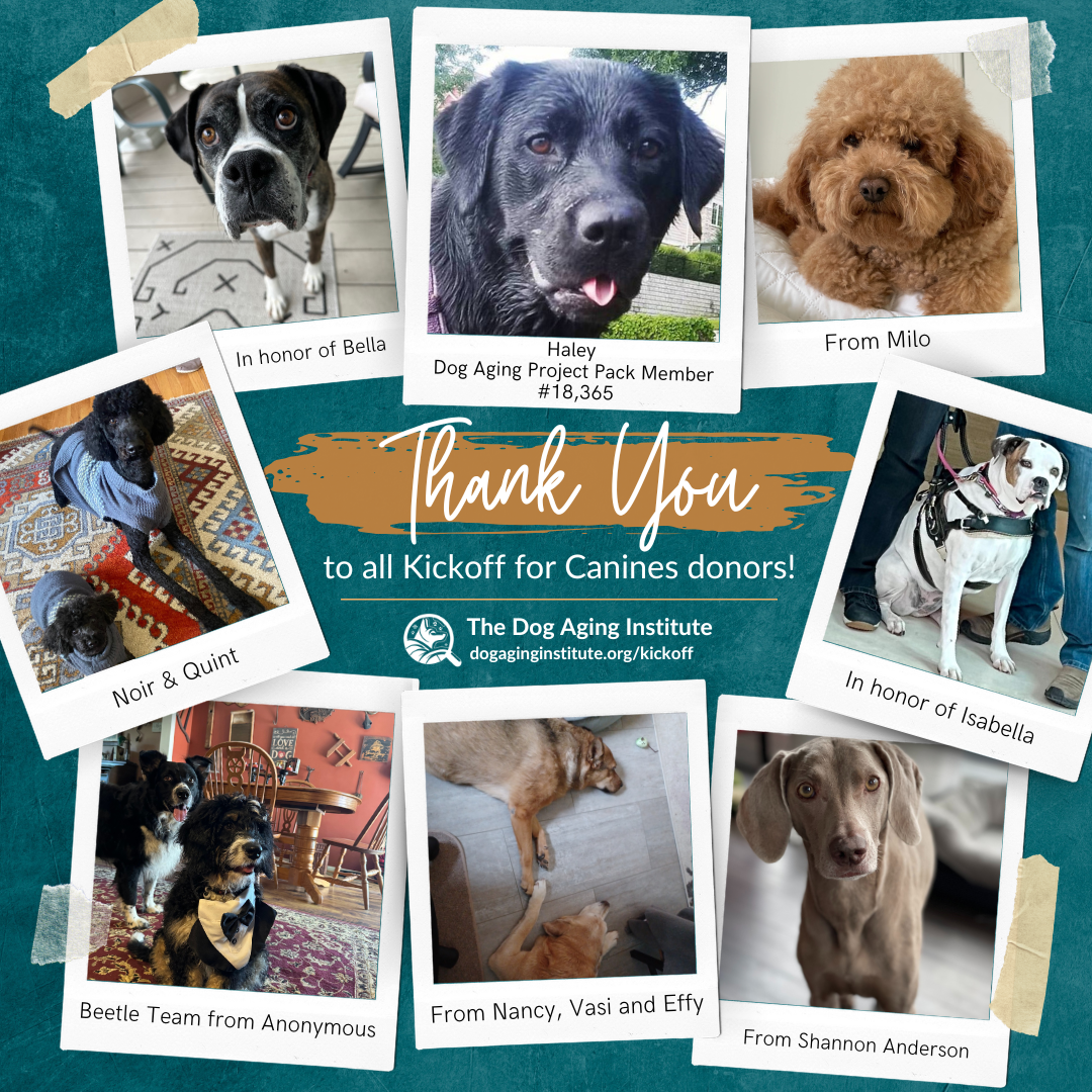 Thank to all Kickoff for Canines Donors