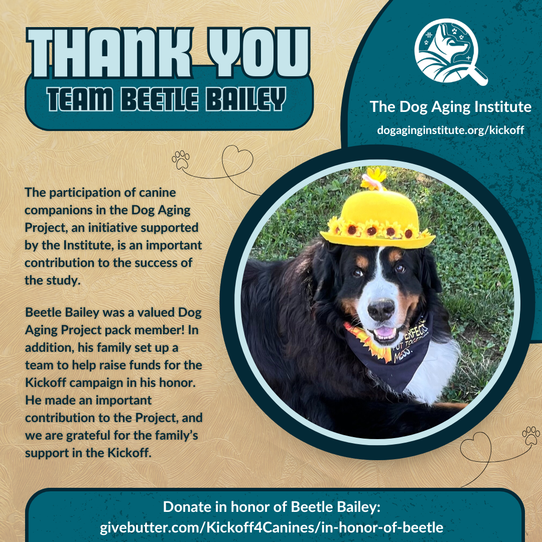 Thank You Team Beetle Bailey