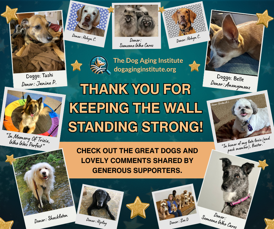 Thank you for Keeping the Wall Standing Strong!