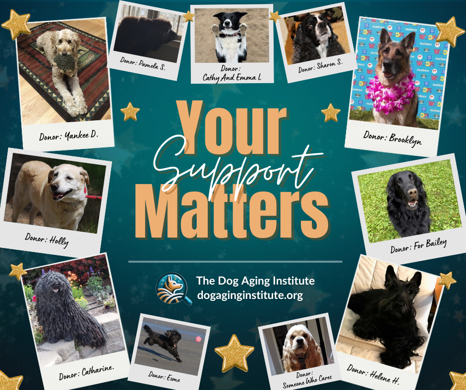 Your Support Matters!