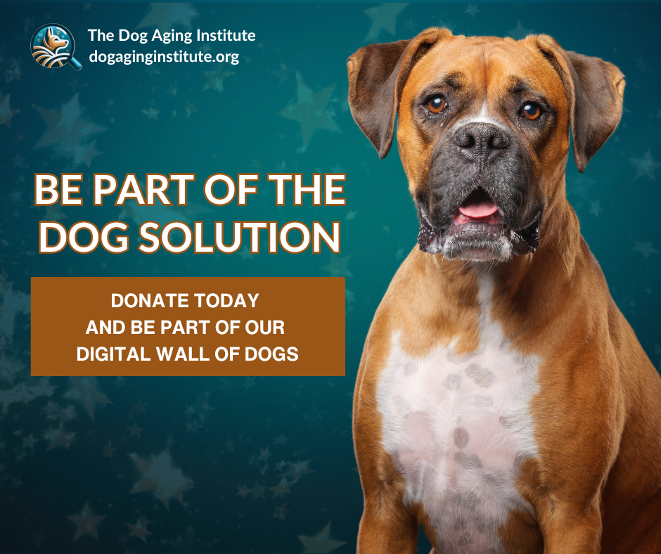 DAI Be Part of the Solution_2.png