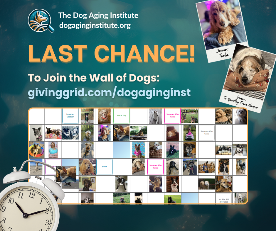 Last Chance to Join the Wall of Dogs!