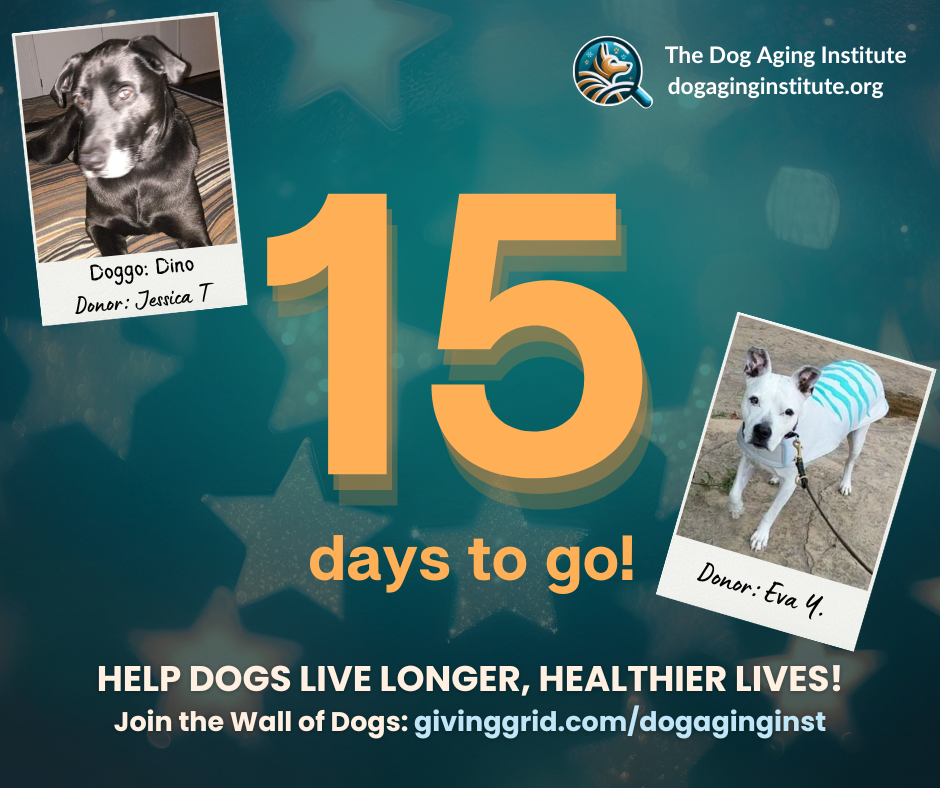 15 Days to Go!