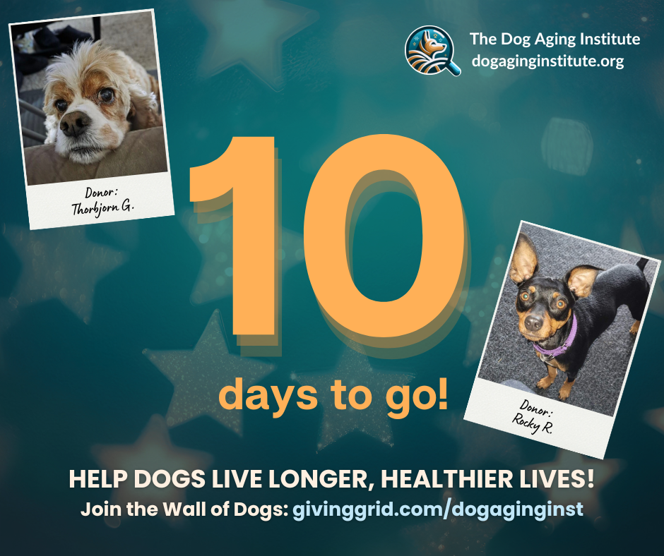 10 Days to Go!
