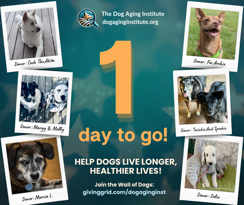 1 Day to Go!