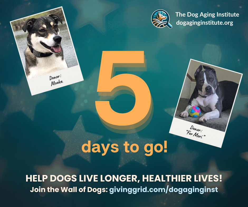 5 Days to Go!