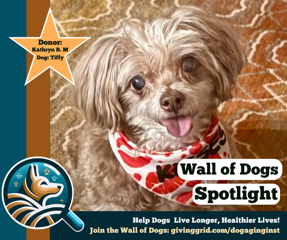 Wall of Dogs Spotlight