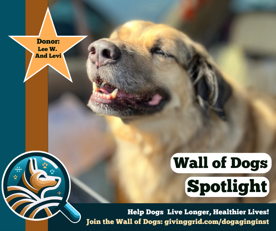Wall of Dogs Spotlight