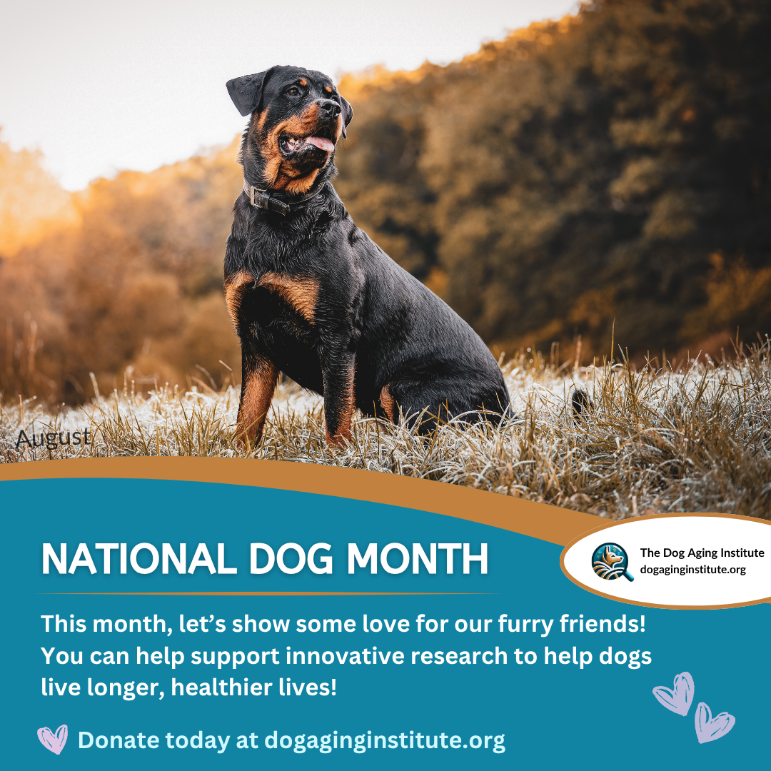 National Dog Month