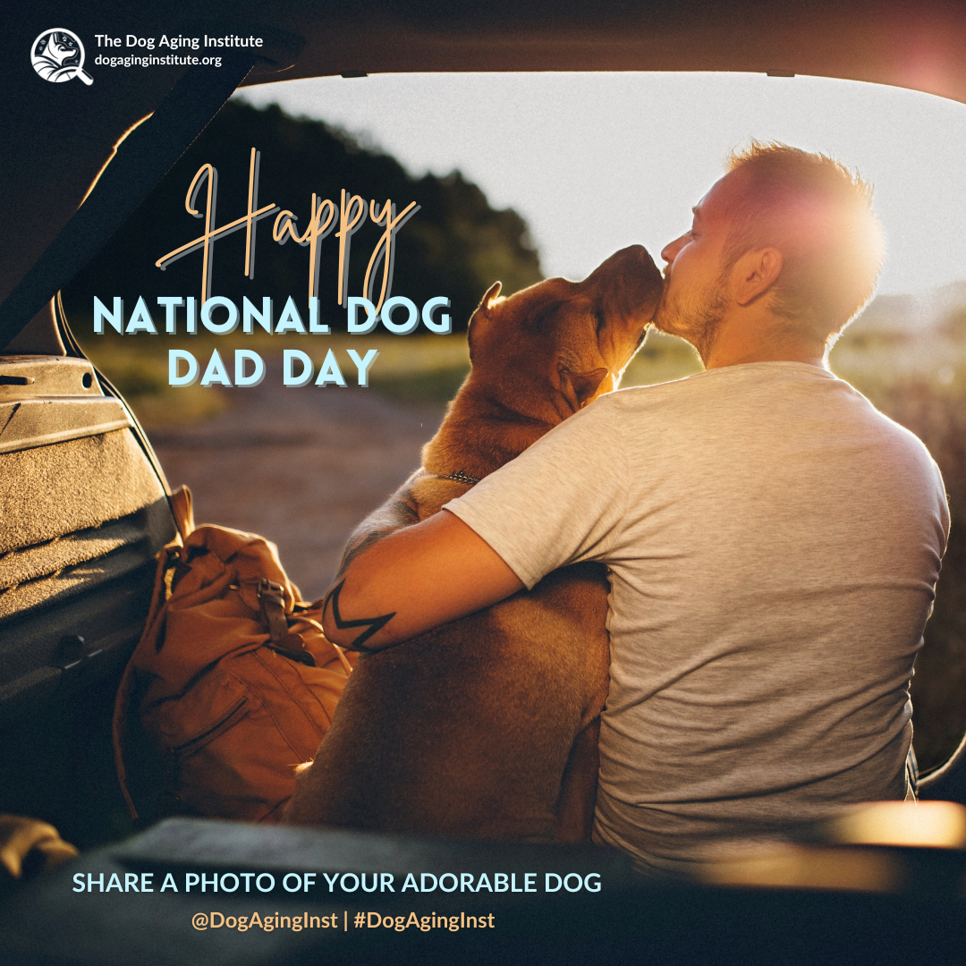 National Dog Dad Day