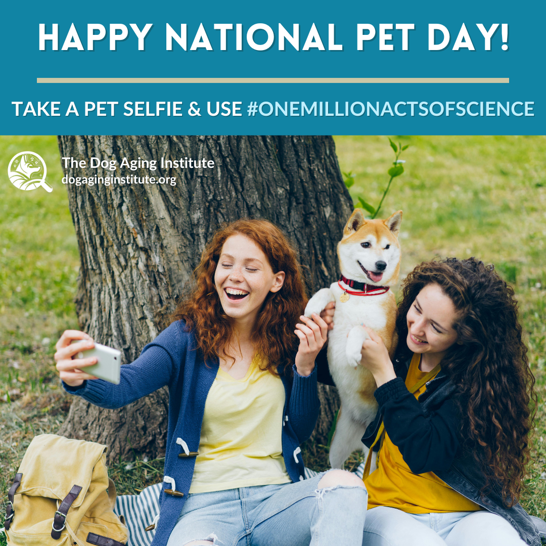 Happy National Pet Day &amp; Citizen Science Month