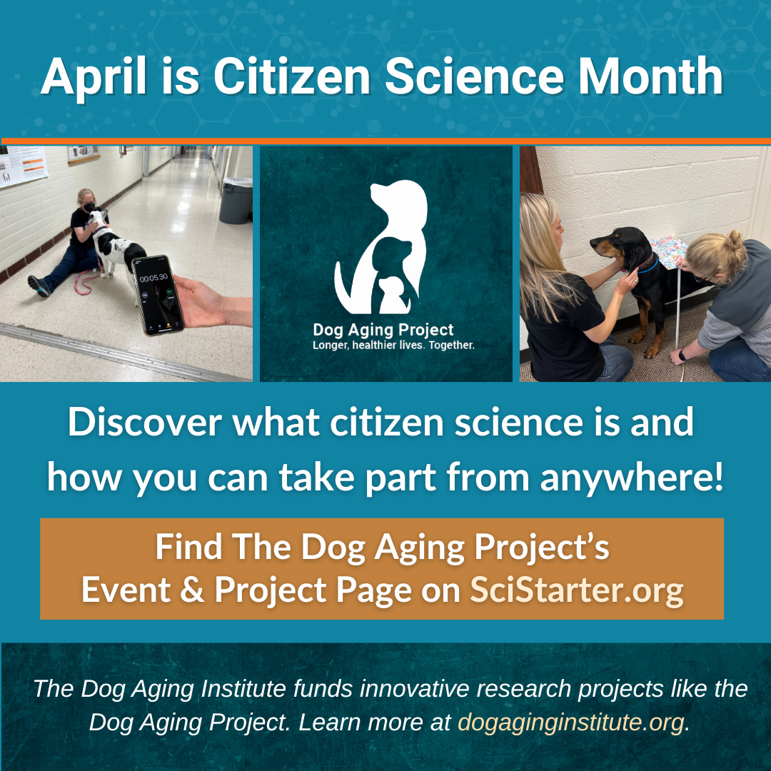 Happy National Pet Day &amp; Citizen Science Month