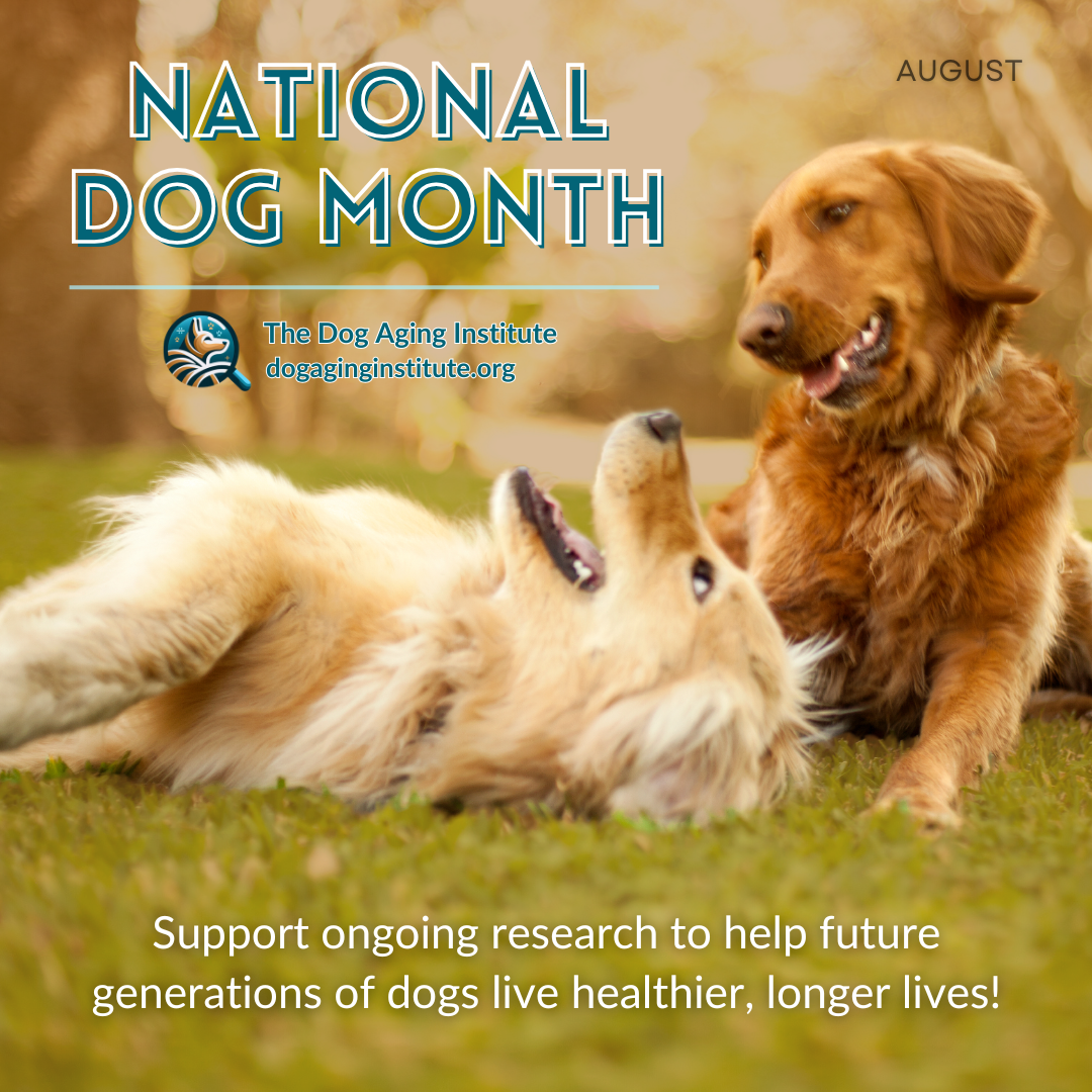 National Dog Month