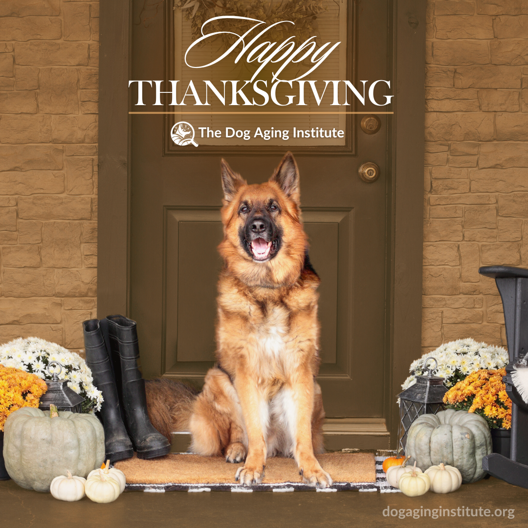 Happy Thanksgiving