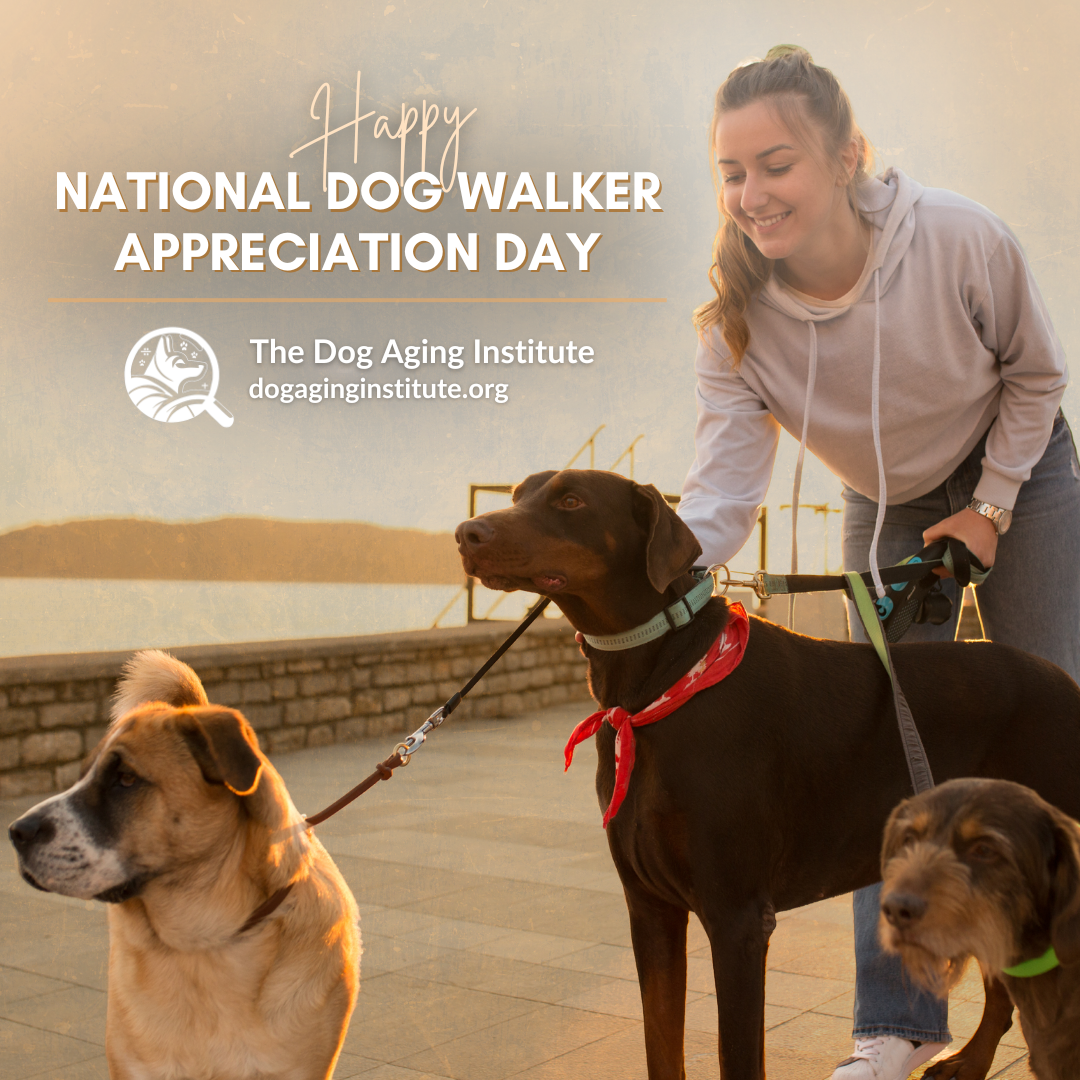 National Dog Walker Appreciation Day