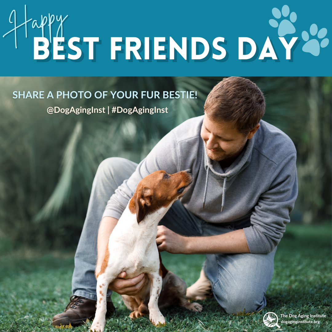 Happy Best Friends Day