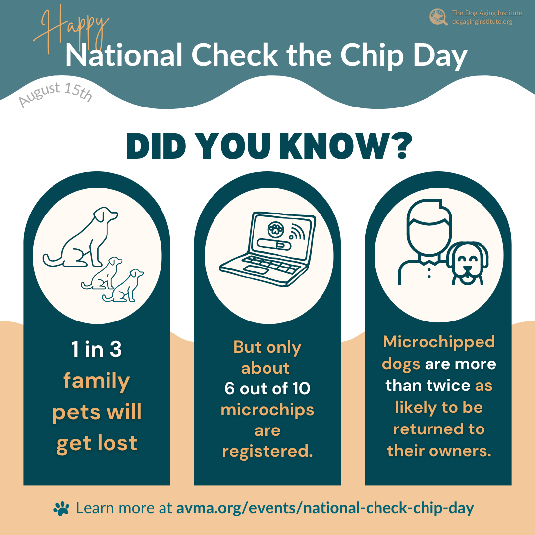 National Check the Chip Day