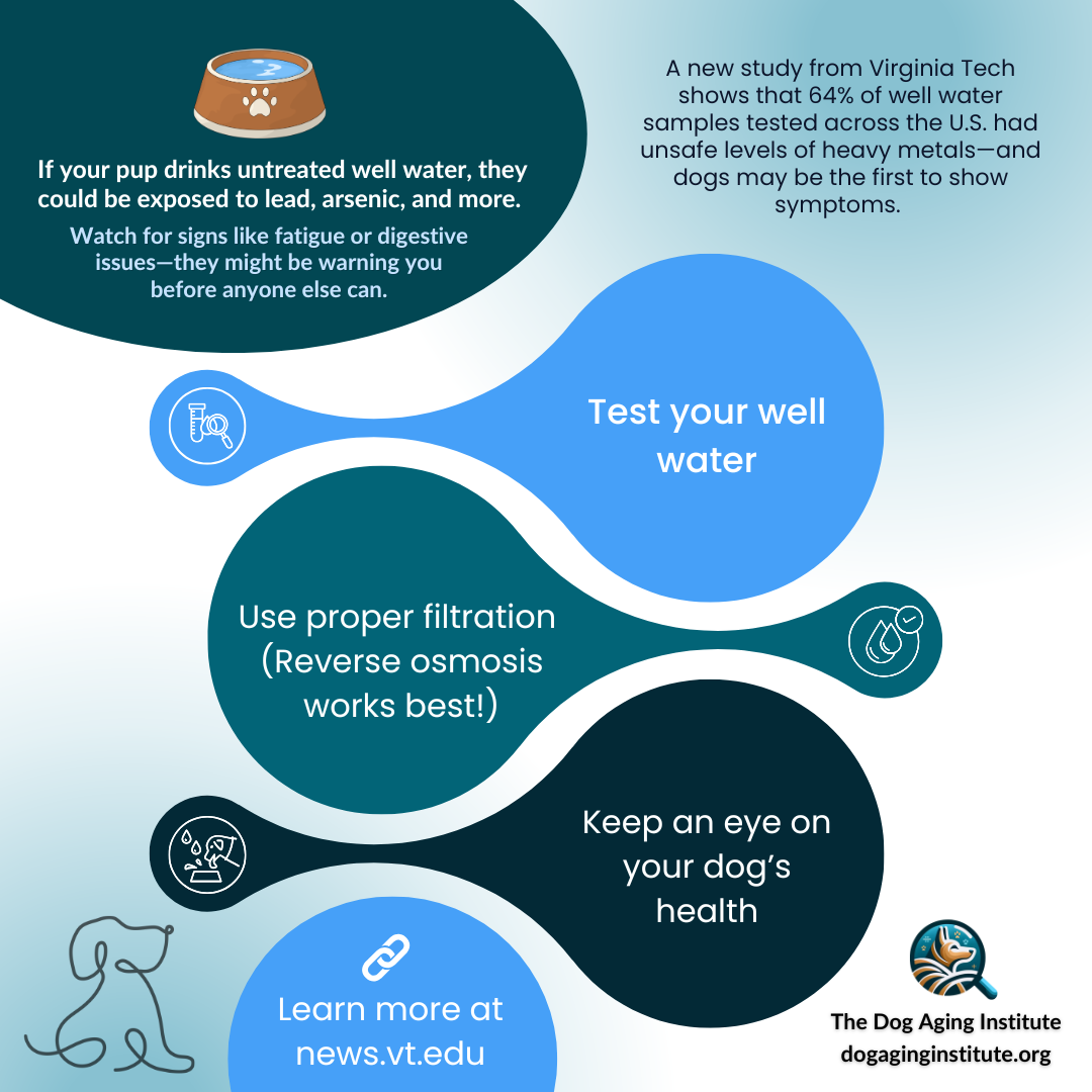Test Your Well Water (Publication)