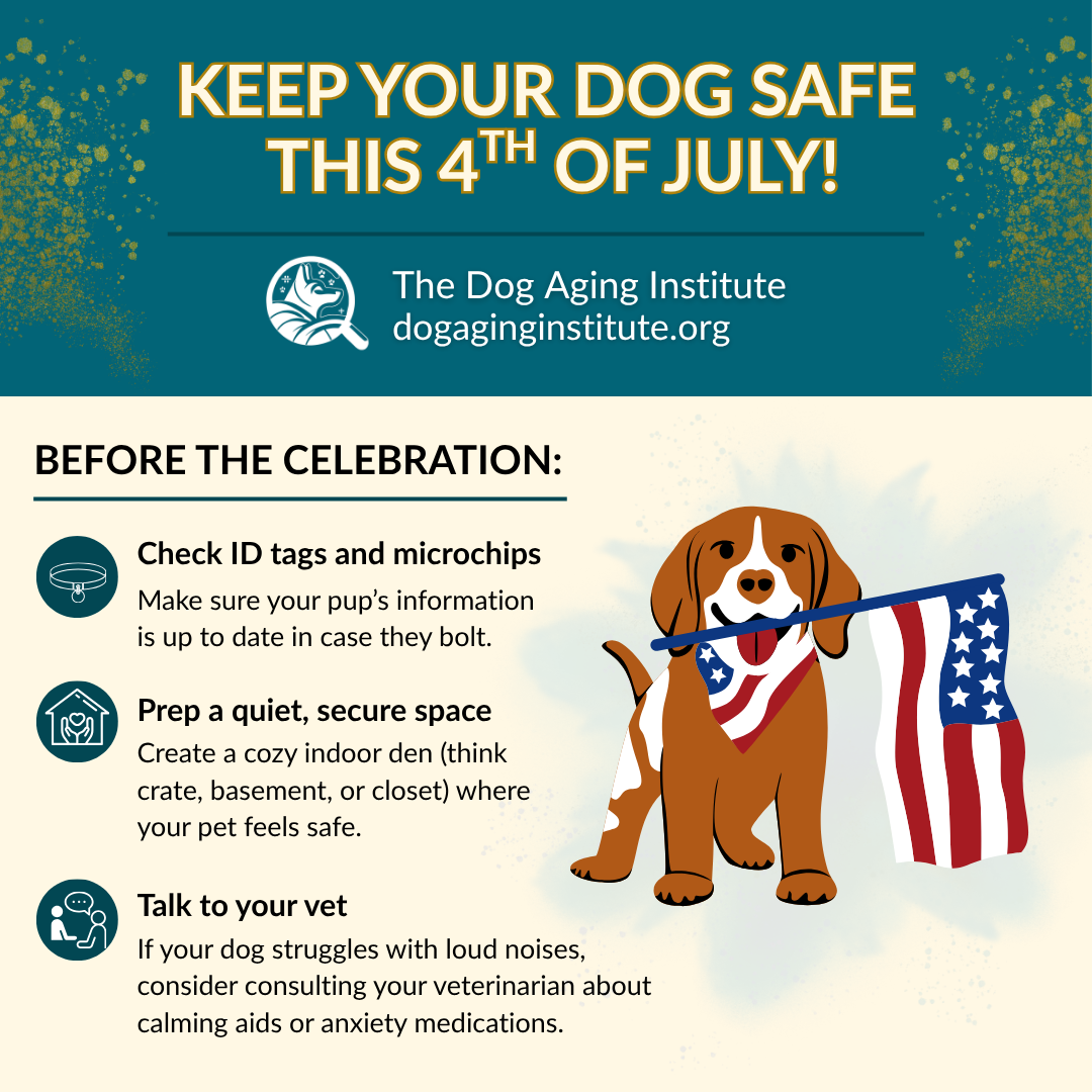 Keep Your Dog Safe This 4th of July