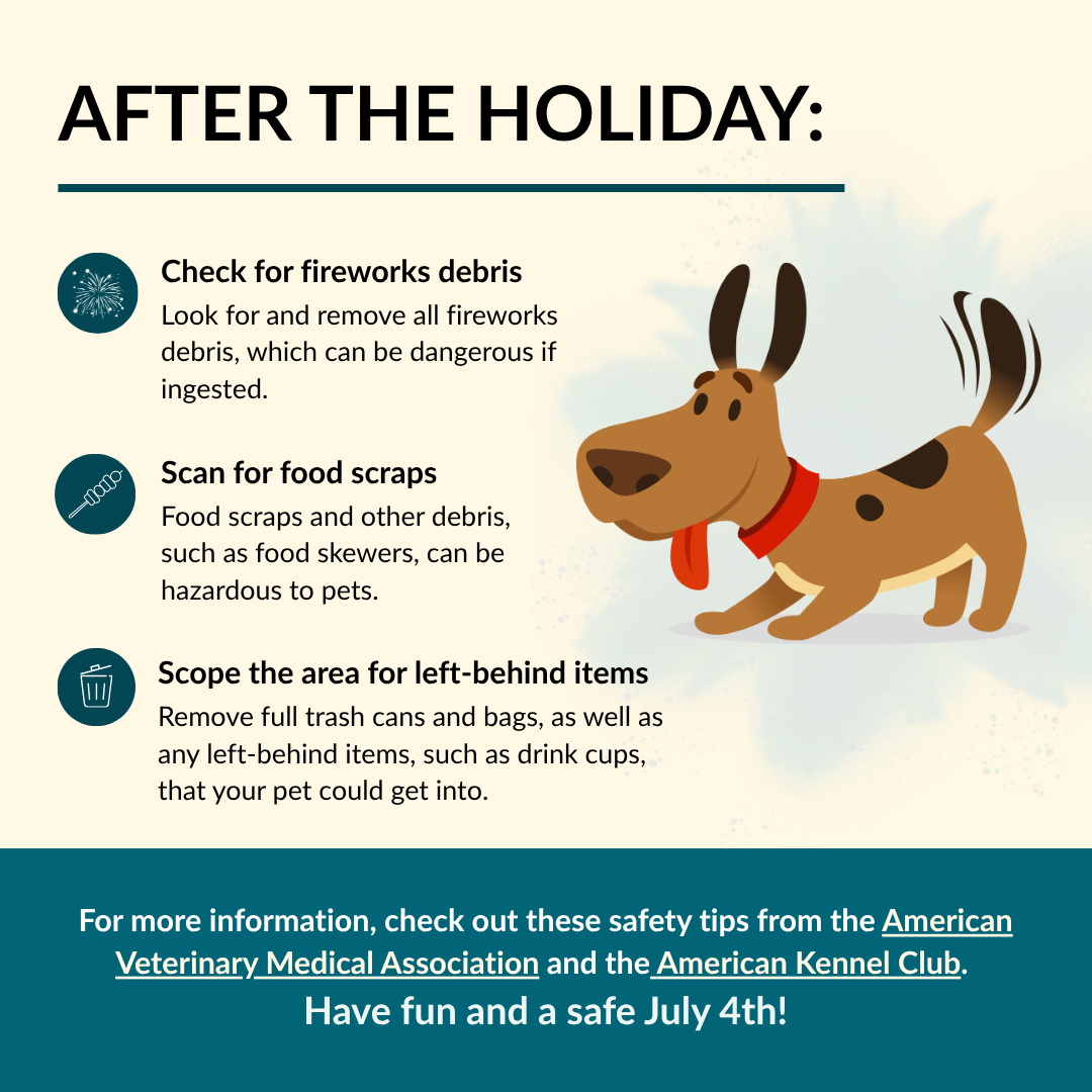 Keep Your Dog Safe This 4th of July