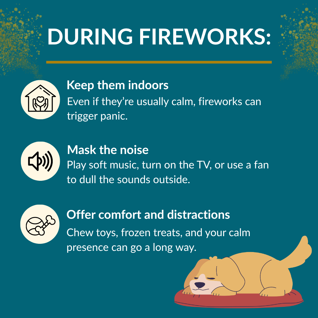 Keep Your Dog Safe This 4th of July