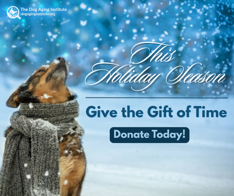 This Holiday Season, Give the Gift of Time