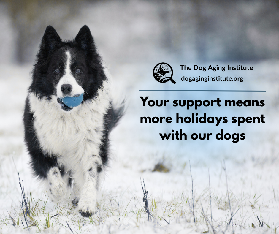 Give the Gift of Time