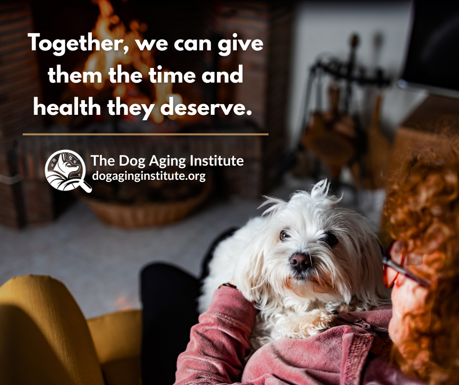 Give the Gift of Time