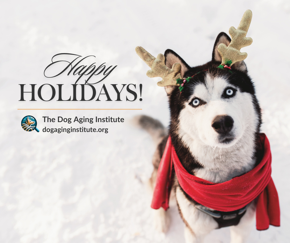 Happy Holidays