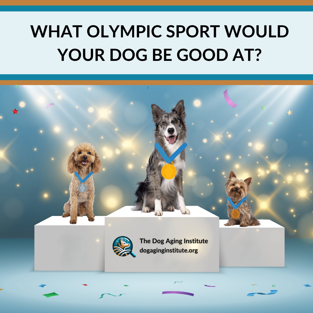 Paris Olympic Poll Fun