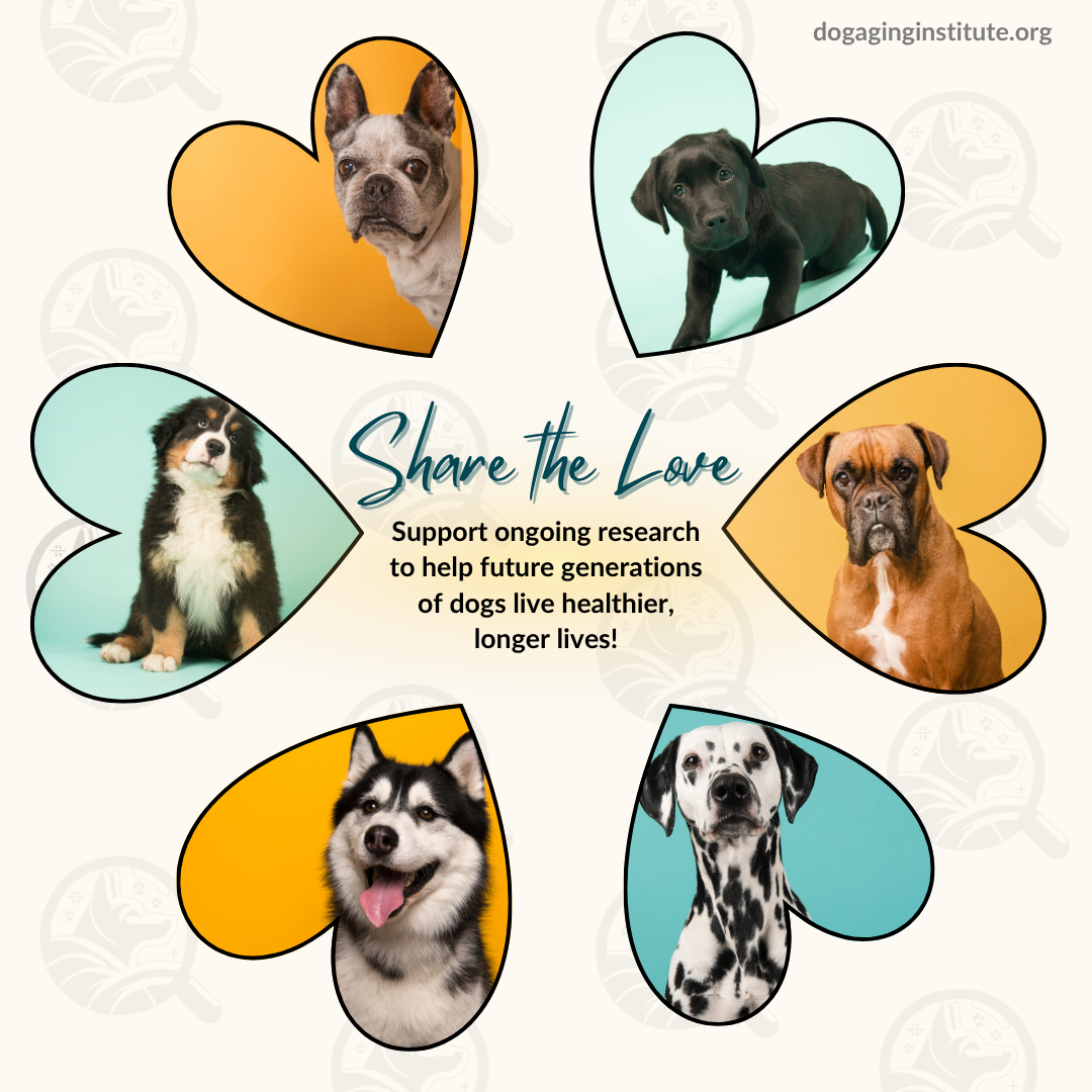 Share the love