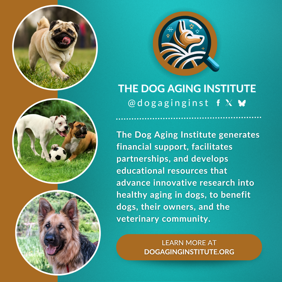 Support the Dog Aging Institute