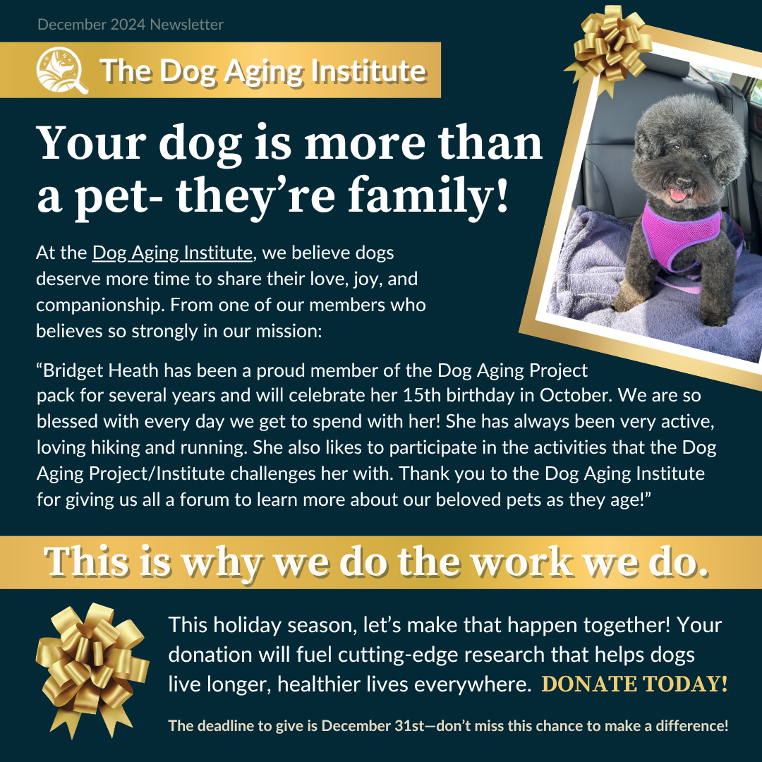 our dog is more than a pet-they’re family! 