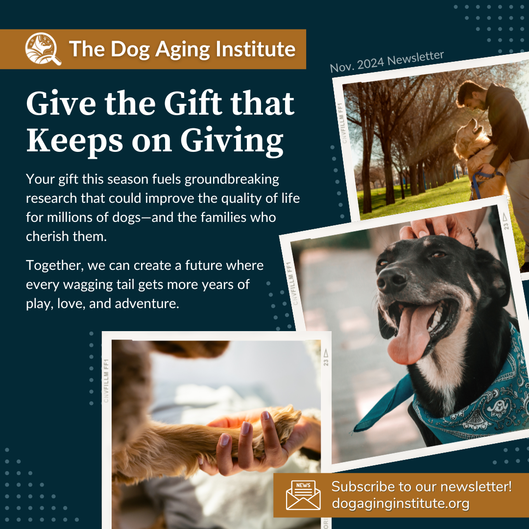 Give the Gift that Keeps on Giving