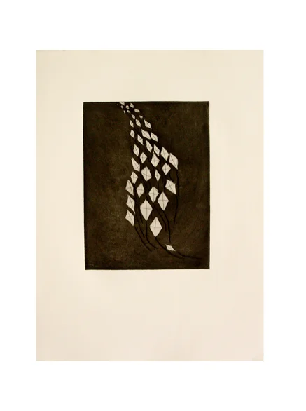 dangeeKite_etching_72dpi.jpg