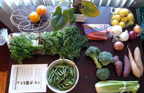 How to Meal Plan When You Don't Have Time